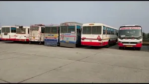 Big action of RTA