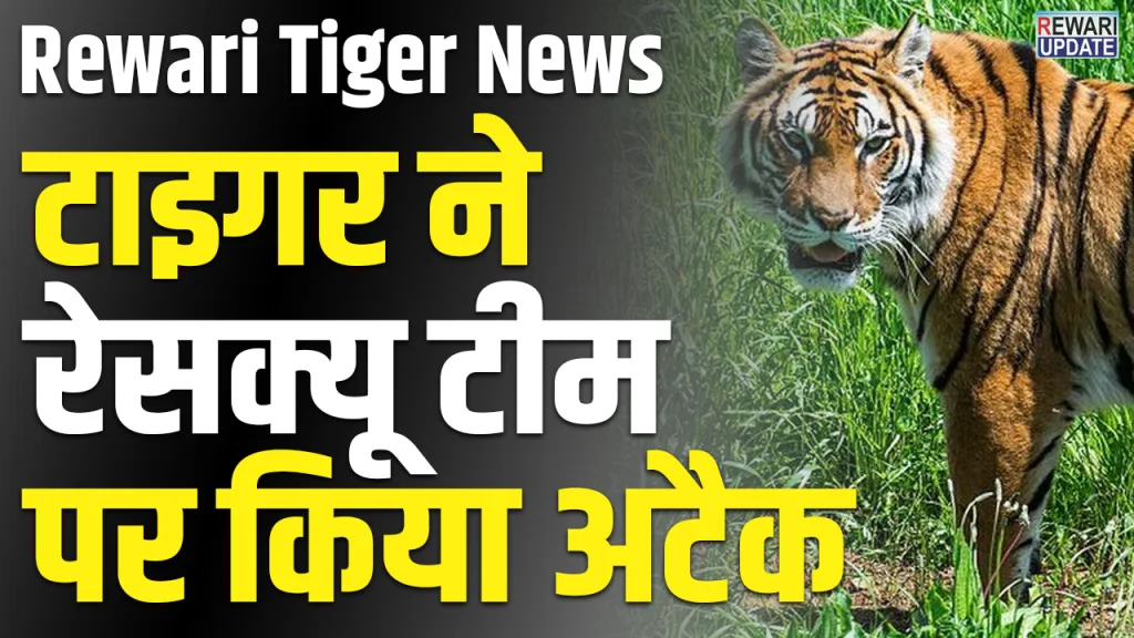 rewari tiger attack