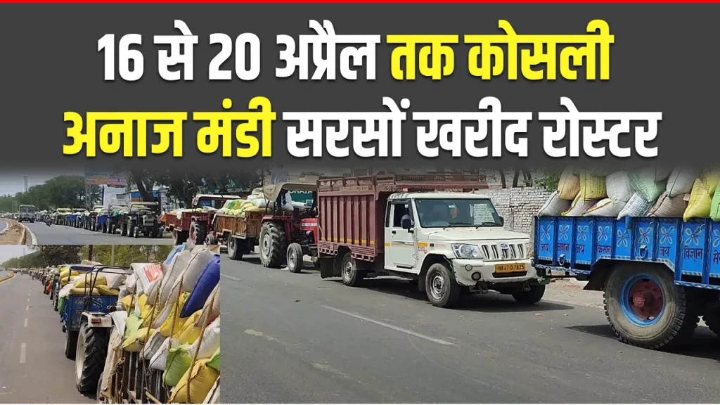 kosli mandi sarso kharid roster