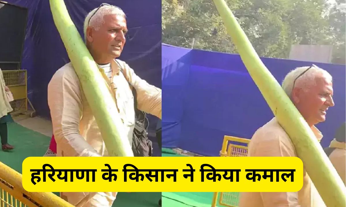 6 feet gourd: हरियाणा के किसान ने किया कमाल, ऐसे उगाई 6 फीट लंबी लौकी, कीमत जानकर आप भी हो जाएंगे हैरान 5 Add a heading 2025 02 27T101001.509
