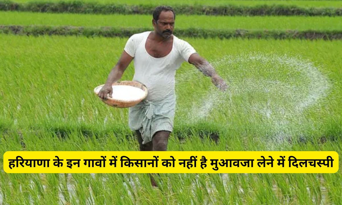 Haryana News: हरियाणा के इन गावों में किसानों को नहीं है मुआवजा लेने में दिलचस्पी! कैंप लगाने के बाद भी 15 करोड़ रुपये लेने नहीं आए किसान 5 Add a heading 2025 02 28T102526.787