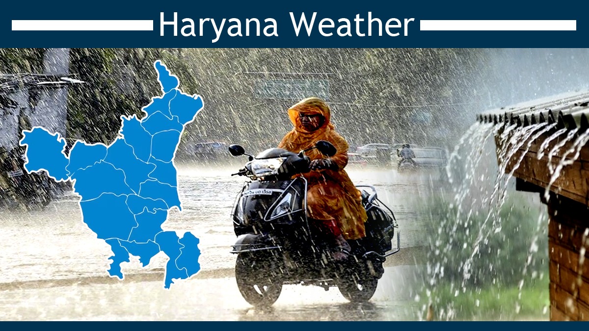 Haryana Weather: हरियाणा में सुबह-सुबह शुरू हुई बारिश, दिन निकलते ही छाया अंधेरा, इन जिलों में ऑरेंज अलर्ट जारी 4 WhatsApp Image 2025 02 14 at 10.46.47 AM