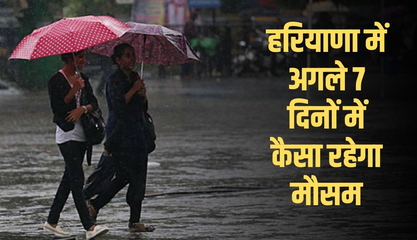 Haryana Weather: हरियाणा में अगले 7 दिनों में कैसा रहेगा मौसम? देखें पूर्वानुमान 5 haryana weather
