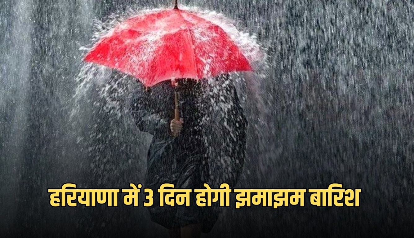 news 2025 02 24T101950.249