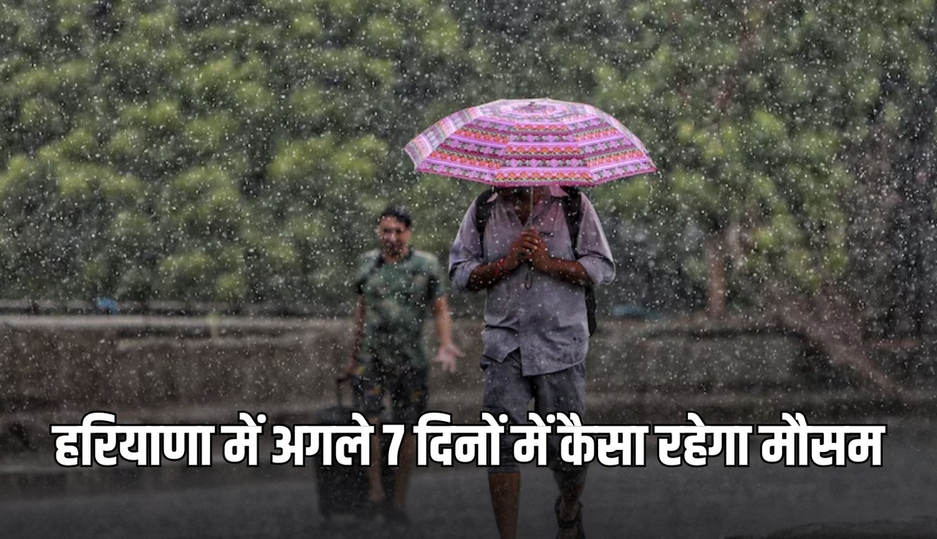 Haryana Weather: हरियाणा में अगले 7 दिनों में कैसा रहेगा मौसम? देखें पूर्वानुमान 5 news 2025 02 24T190409.458