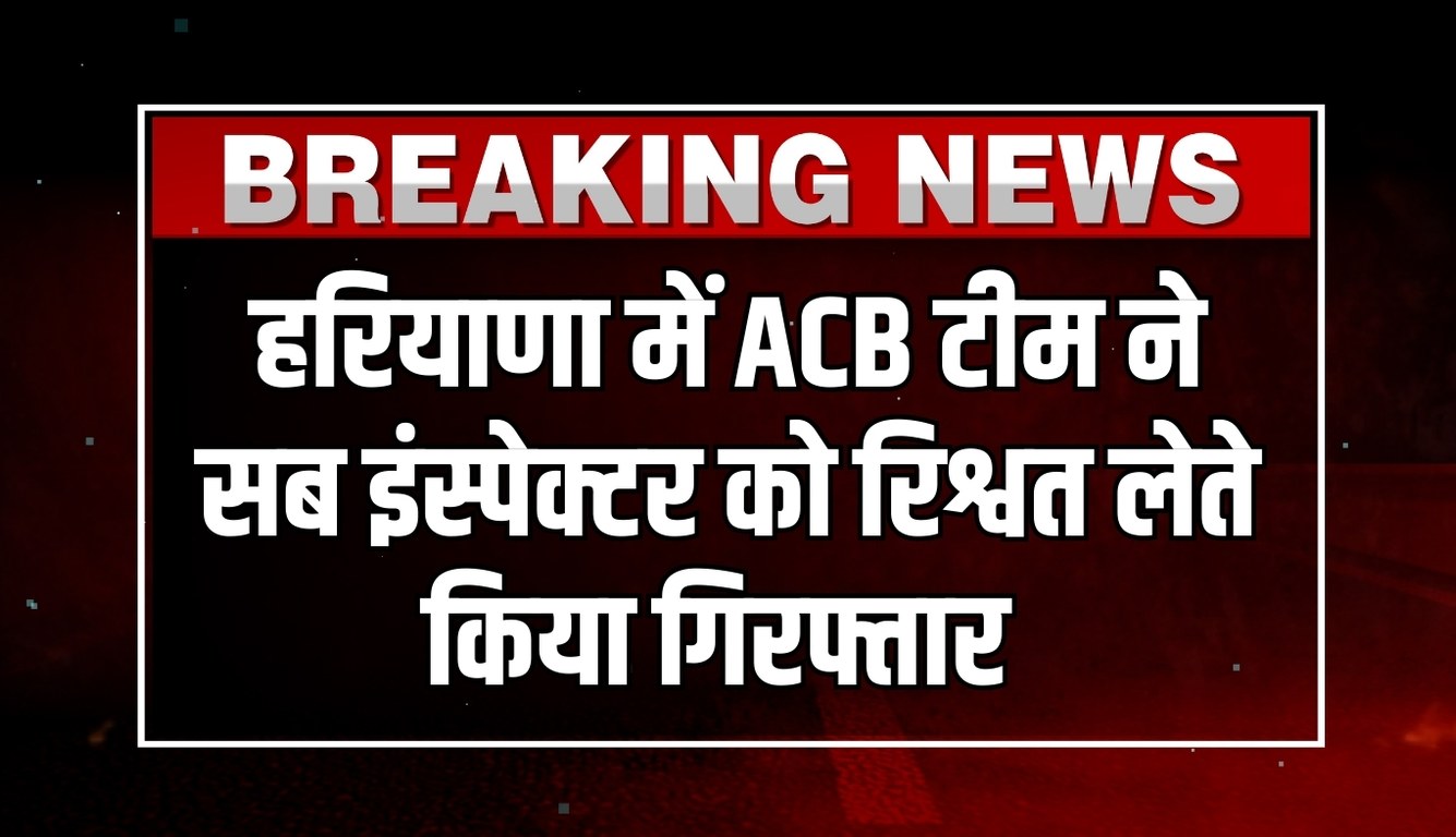 news 2025 02 24T213515.743