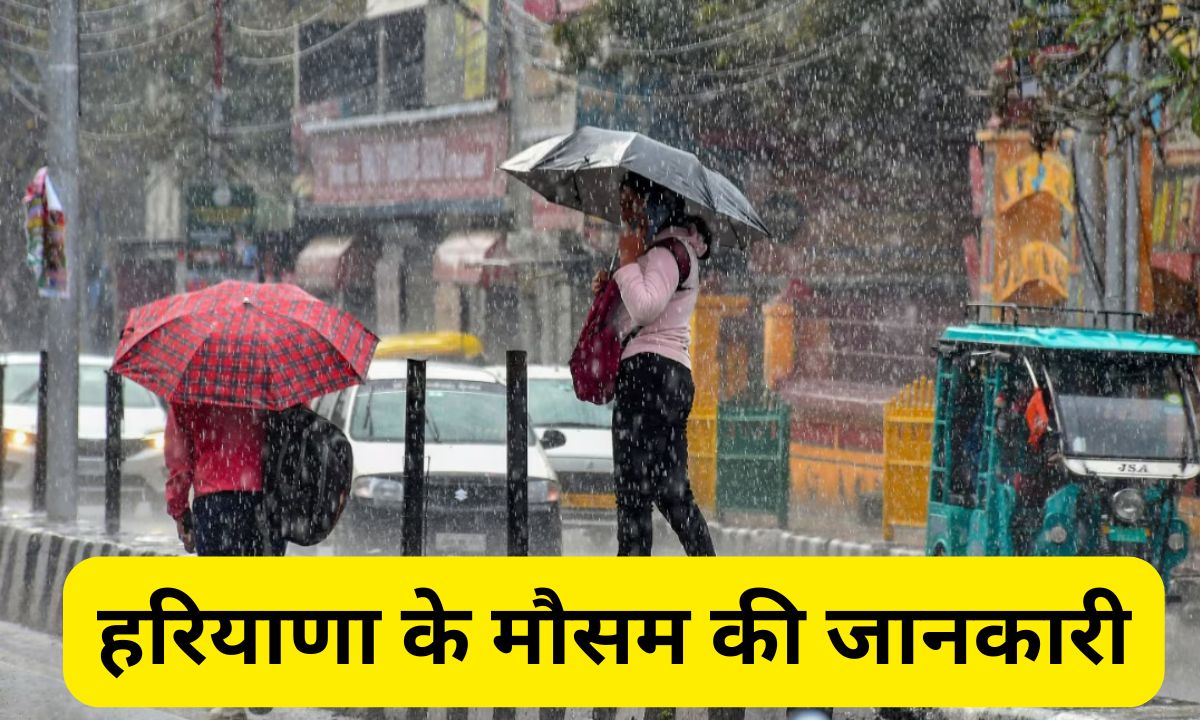 Haryana Weather Today: हरियाणा के इन जिलों में आज होगी झमाझम बारिश, मौसम विभाग ने जारी किया अलर्ट 5 Add a heading 2025 03 02T082809.133