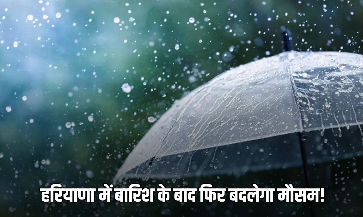 Haryana Weather Update: हरियाणा में 13 और 14 मार्च को हो सकती है बारिश, जानें आज कैसा रहेगा मौसम 5 Add a heading 2025 03 08T070556.888