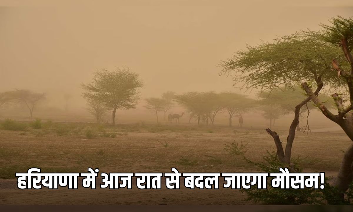 Haryana Weather Update: हरियाणा में आज रात से बदल जाएगा मौसम, 2 दिन चलेंगी तेज हवाएं, IMD ने जारी किया ये अपडेट 5 Add a heading 2025 03 09T092711.188