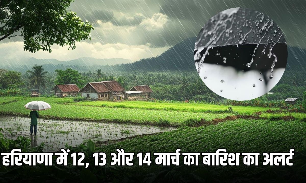Haryana Weather Update: हरियाणा में कल से तीन दिनों तक होगी झमाझम बारिश, मौसम विभाग ने 12 और 13 मार्च के लिए जारी किया येलो अलर्ट 6 Add a heading 2025 03 11T072744.635