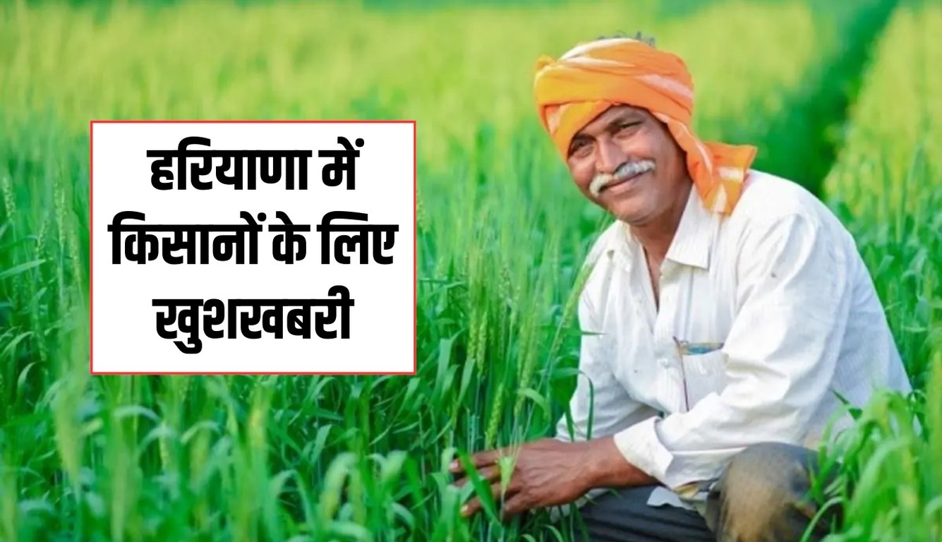Haryana: हरियाणा में किसानों के लिए खुशखबरी, सरकार ने किया ये ऐलान 5 news 2025 03 02T145307.022