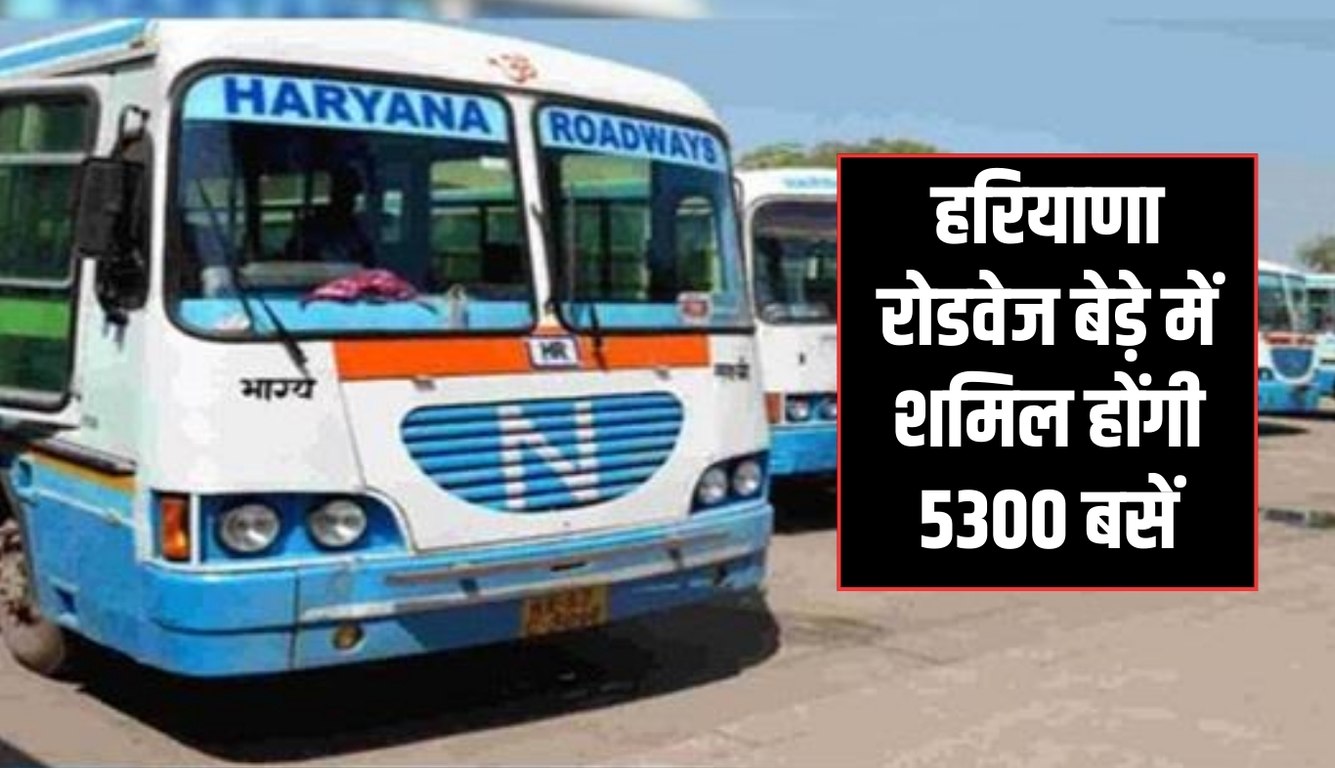 haryana roadways