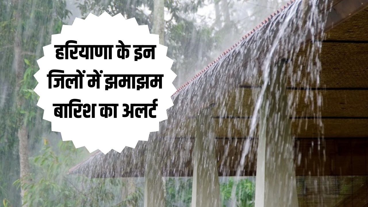 Haryana Weather Alert: हरियाणा के इन जिलों में झमाझम बारिश का अलर्ट, देखें अपने जिले का हाल 5 हरियाणा के इन जिलों में होगी झमाझम बारिश 4