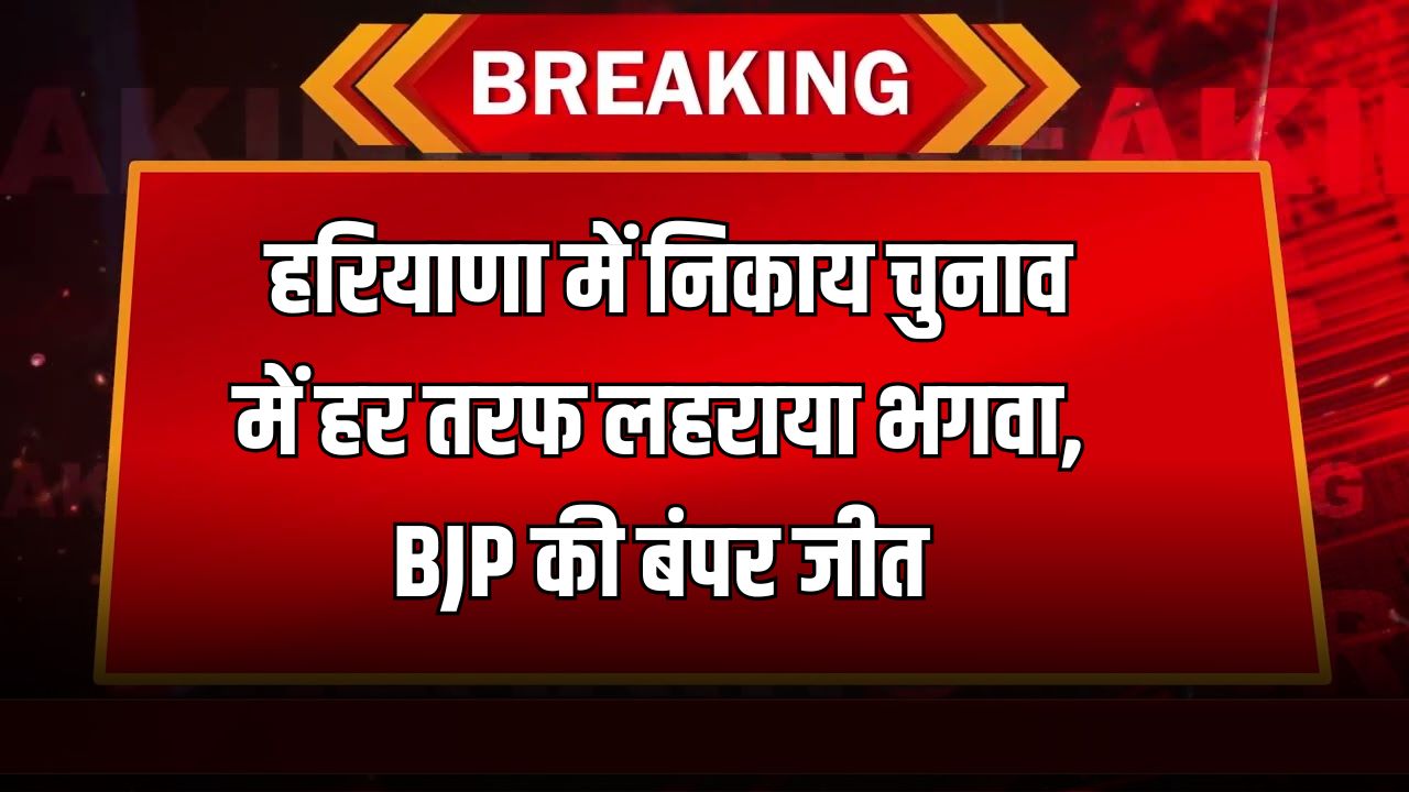 Haryana Nikay Chunav: हरियाणा में निकाय चुनाव में हर तरफ लहराया भगवा, BJP की बंपर जीत 5 हरियाणा में निकाय चुनाव में हर तरफ लहराया भगवा BJP की बंपर जीत