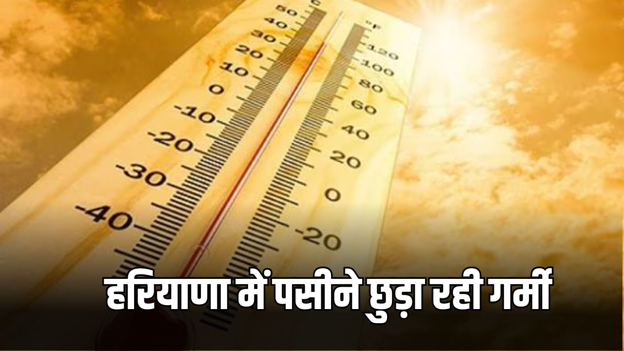Haryana Weatehr Update: हरियाणा में गर्मी नें दिखाया रोद्र रूप, 39 डिग्री पर पहुंचा पारा 5 हरियाणा में पसीने छुड़ा रही गर्मी