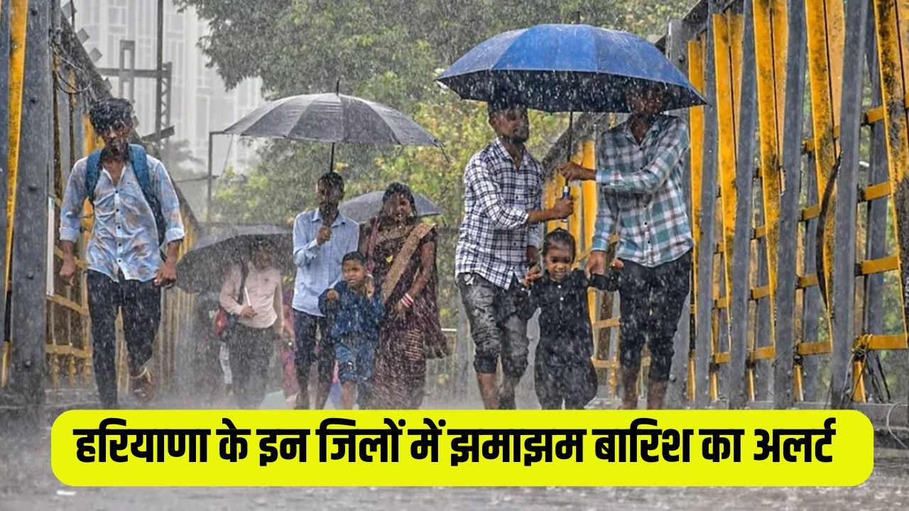 Haryana Weather Alert 3