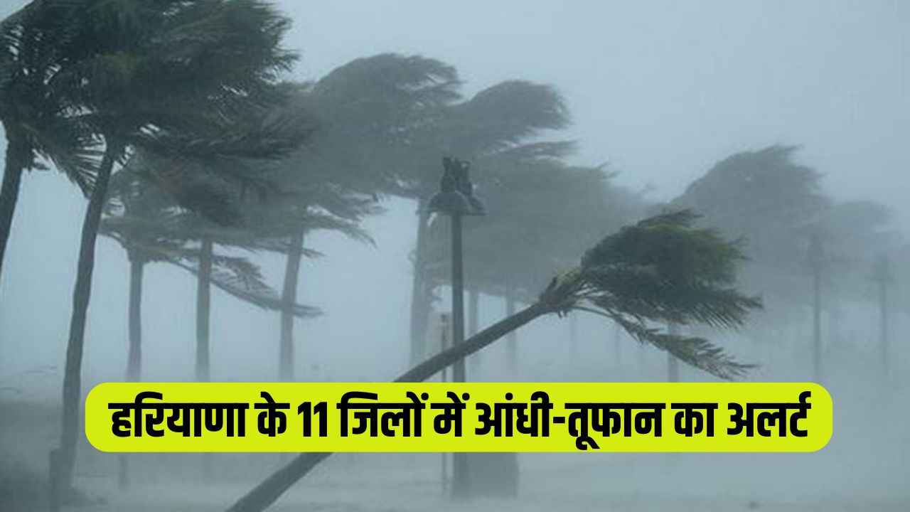 Haryana Weather Alert: हरियाणा में बारिश के साथ गिरे ओले, इन 11 जिलों में आंधी-तूफान का अलर्ट 5 Haryana Weather Alert