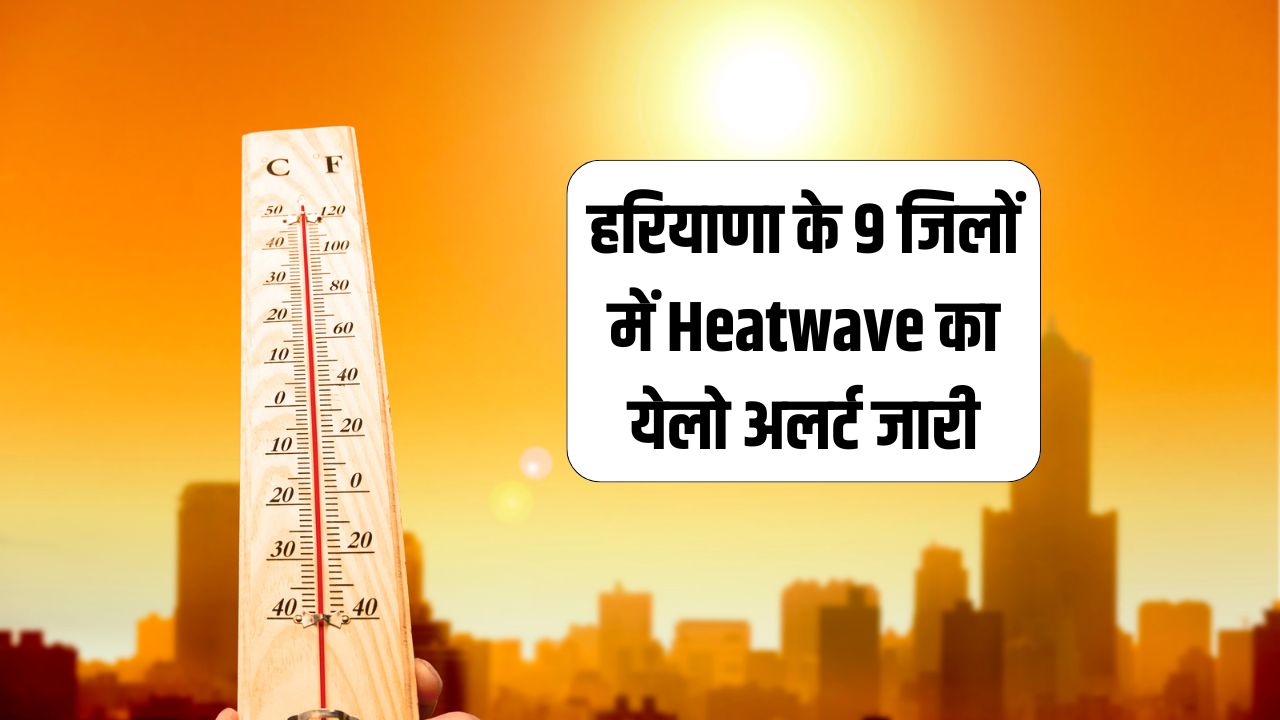 Heatwave yellow alert issued in 9 districts of Haryana