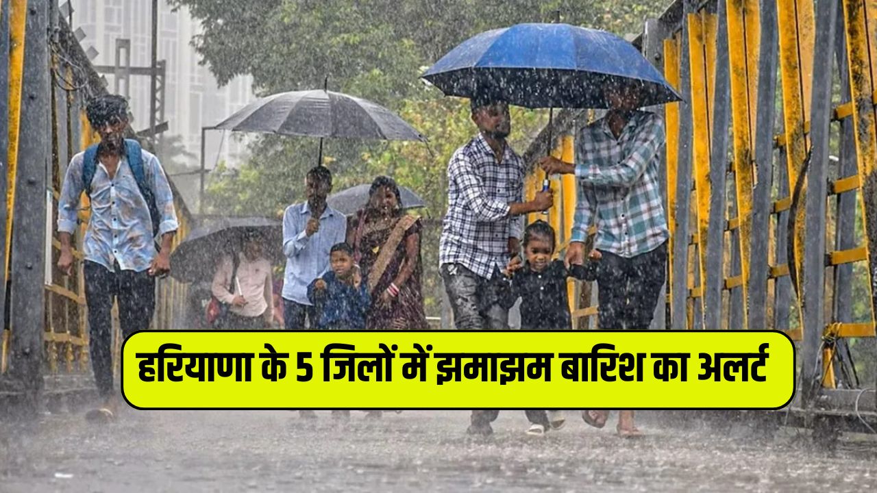 Heavy rain alert in 5 districts of Haryana