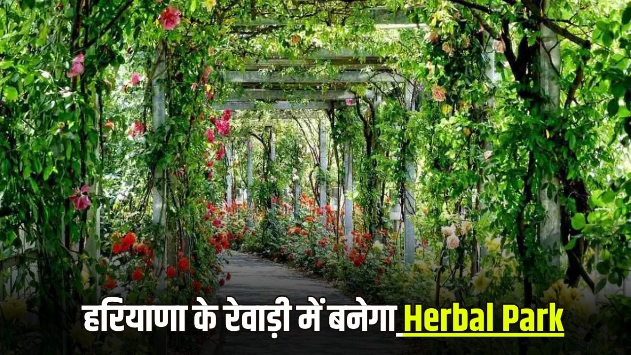Herbal Park will be built in Rewari