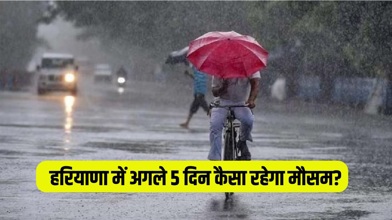 How will the weather be in Haryana for the next 5 days