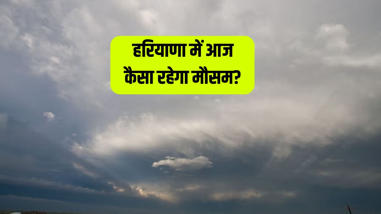 Haryana Weather Update: हरियाणा में आज कैसा रहेगा मौसम? देखें पूरी वेदर रिपोर्ट 4 How will the weather be in Haryana today