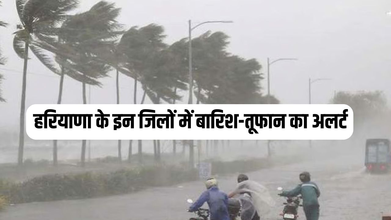 Haryana Weather Alert: हरियाणा के इन जिलों में बारिश-तूफान का अलर्ट, देखें मौसम पूर्वानुमान 5 Rain and storm alert in these districts of Haryana