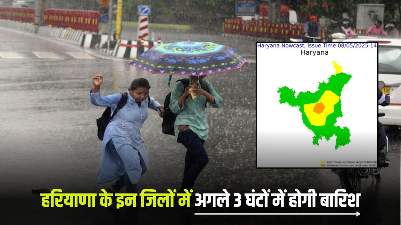 Harayana Rain Alert