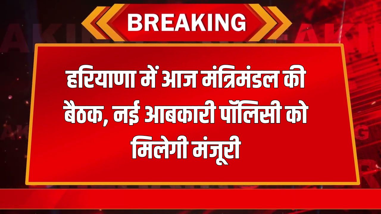 Haryana News 13