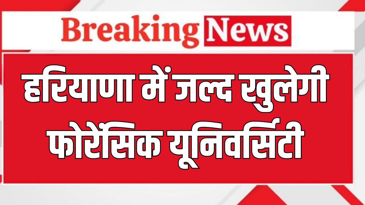 Haryana News 2025 05 28T160607.061