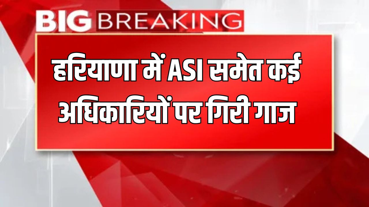 Haryana News 33