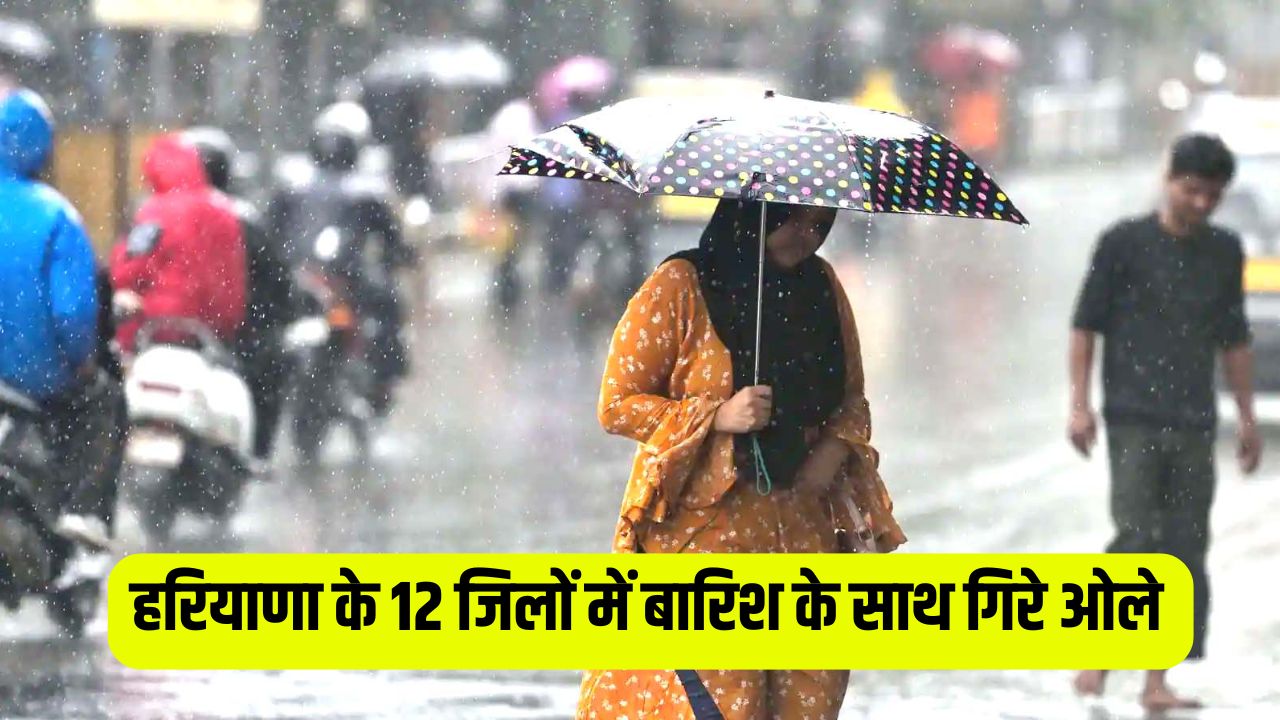 Haryana Rain Alert 1