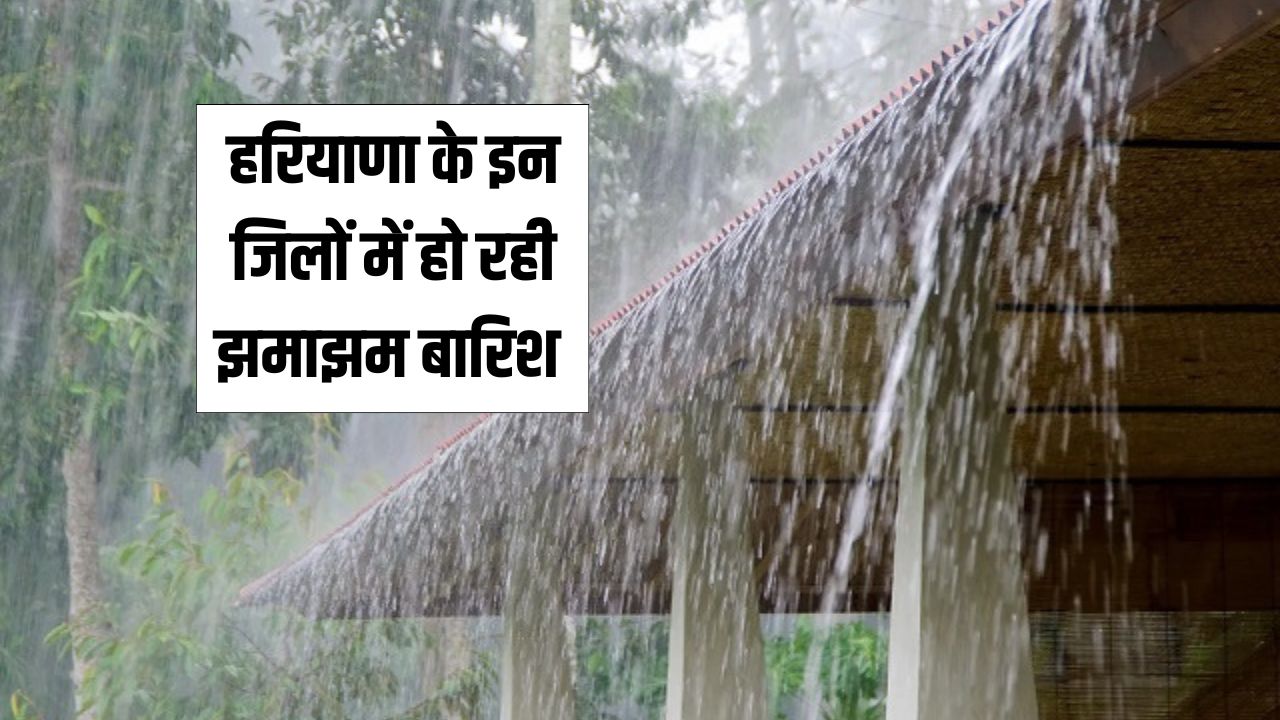 Haryana Rain Alert 13