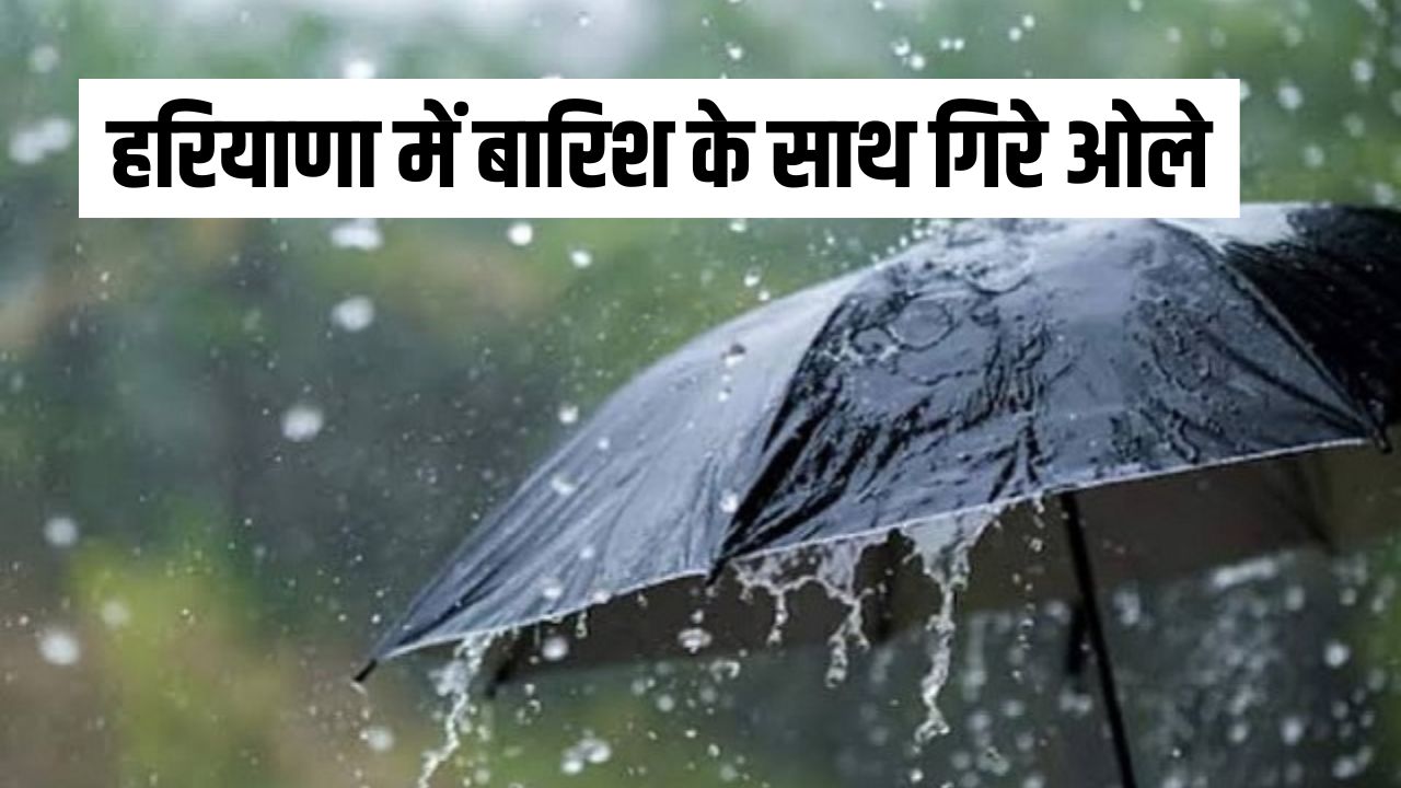 Haryana Rain Update: हरियाणा के 9 जिलों में बदला मौसम, बारिश के साथ गिरे ओले 4 Haryana Rain Update