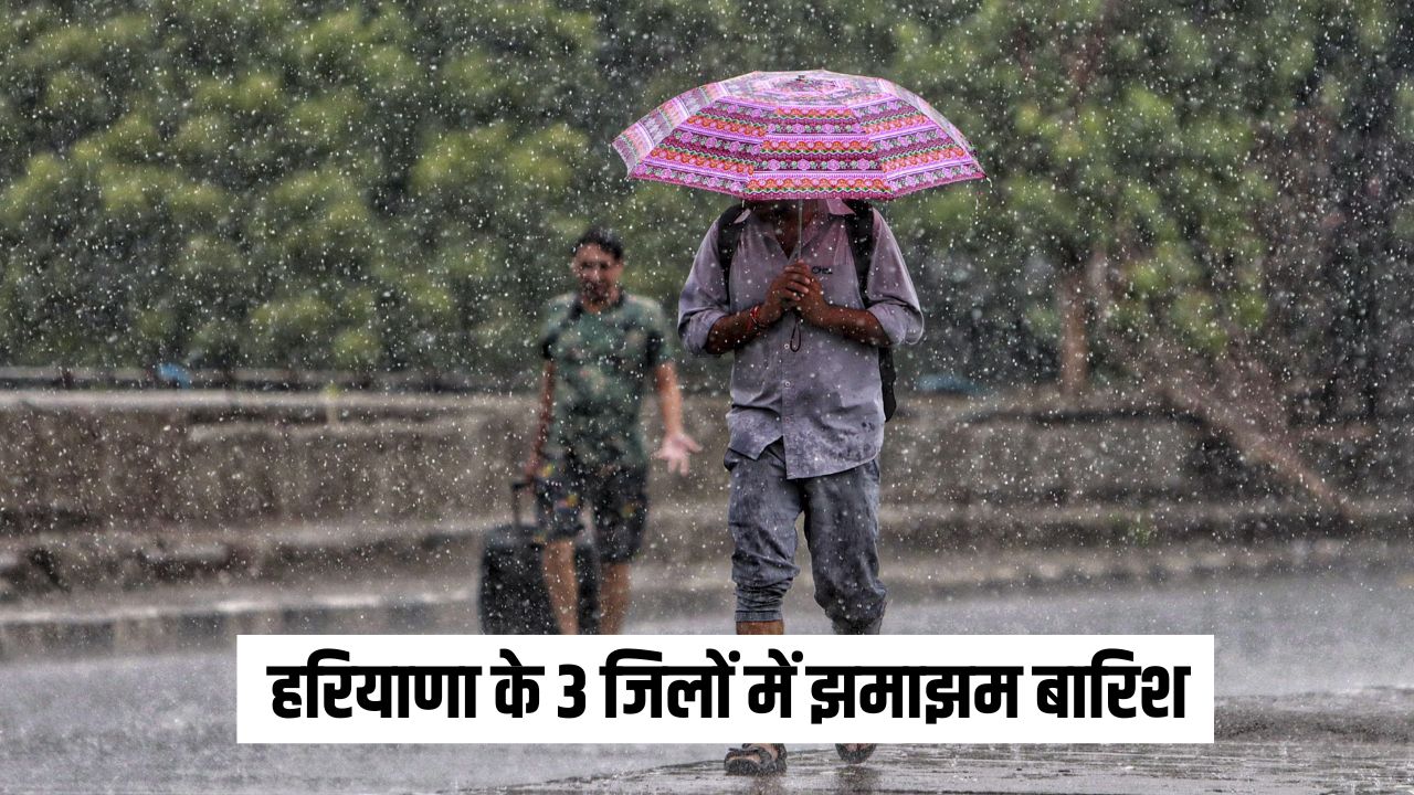 Haryana Weather Update 14