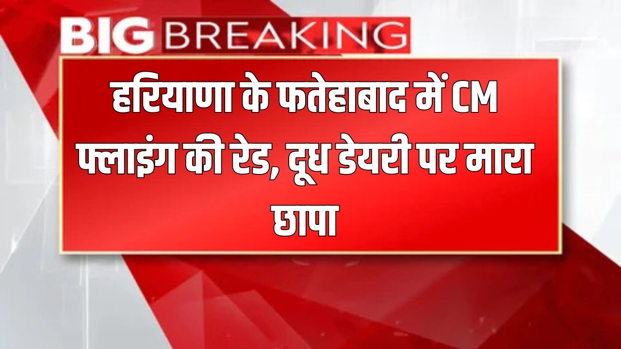 Haryana News: हरियाणा के फतेहाबाद में CM फ्लाइंग की रेड, दूध डेयरी पर मारा छापा 5 Haryana news 2025 05 31T130306.998