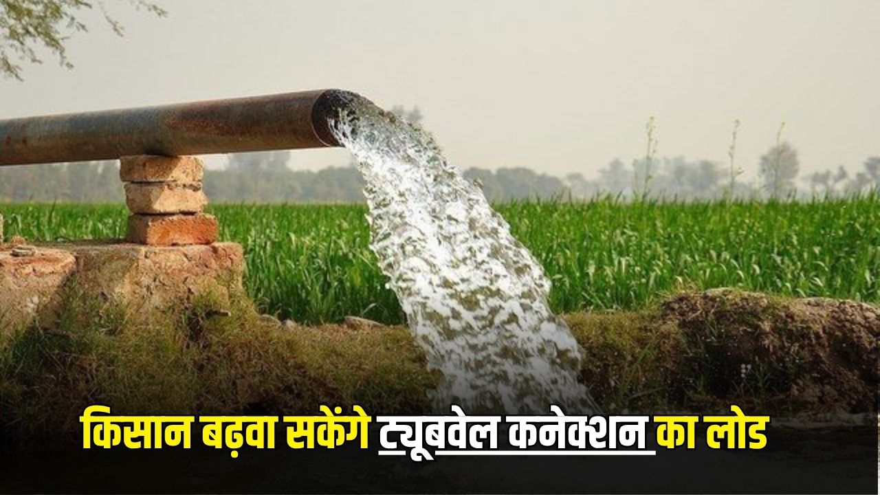 Haryana news 78