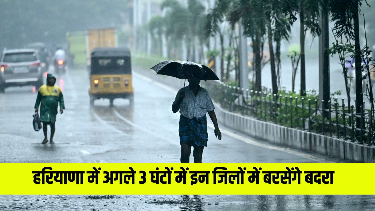 Haryana rain alert 16