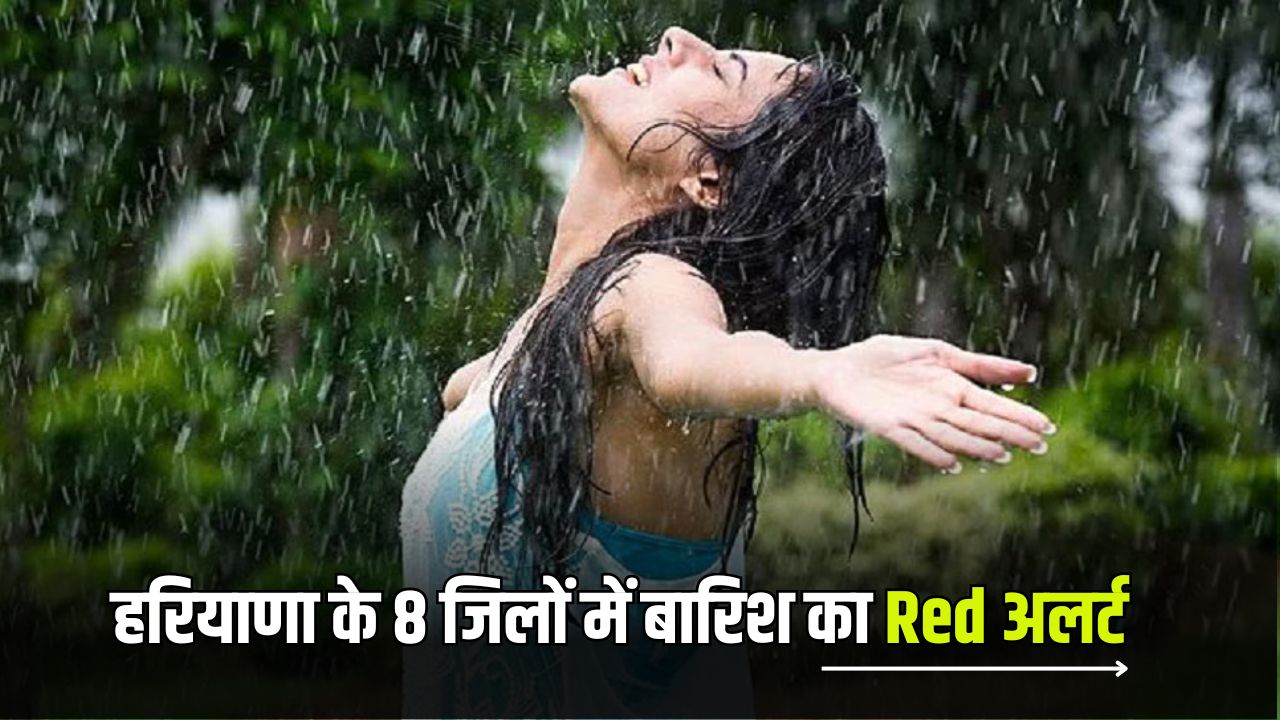 Haryana weather alert 5