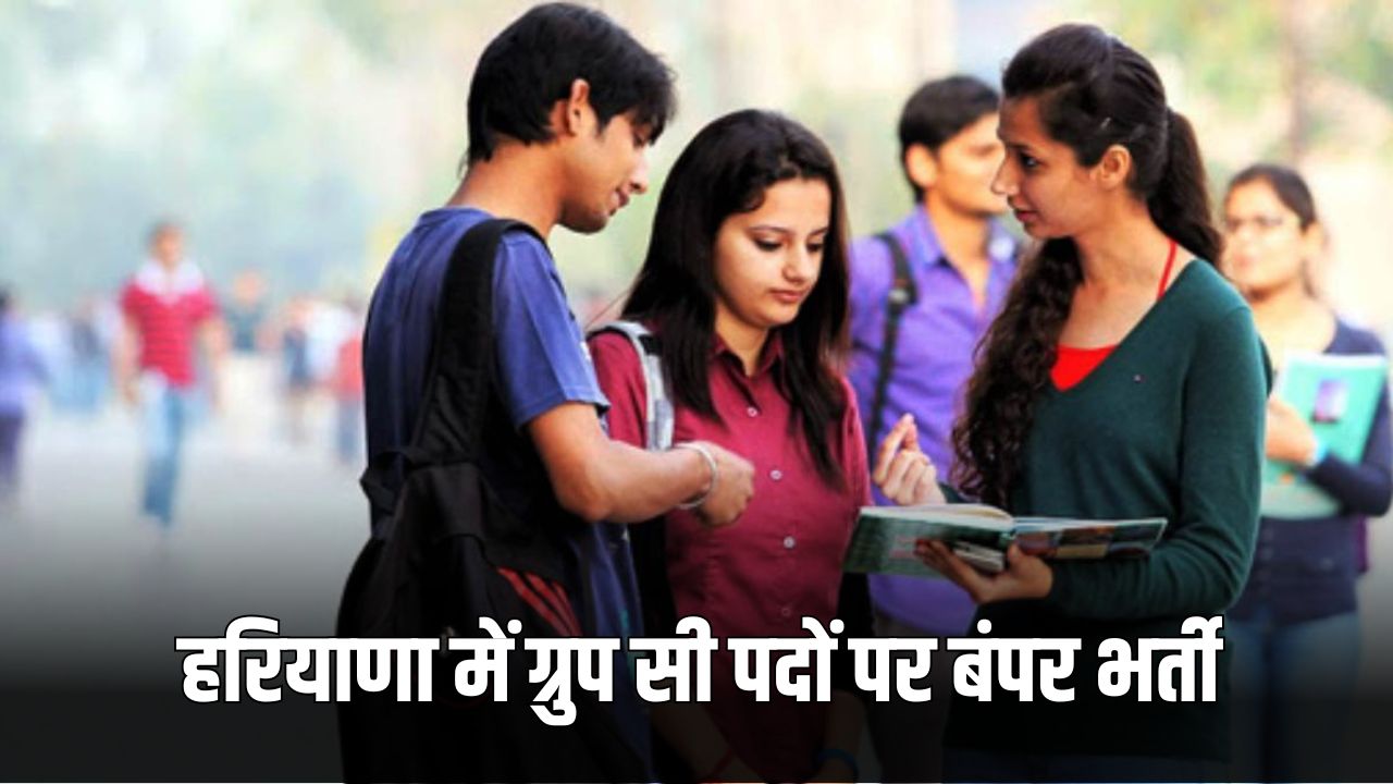 haryana jobs