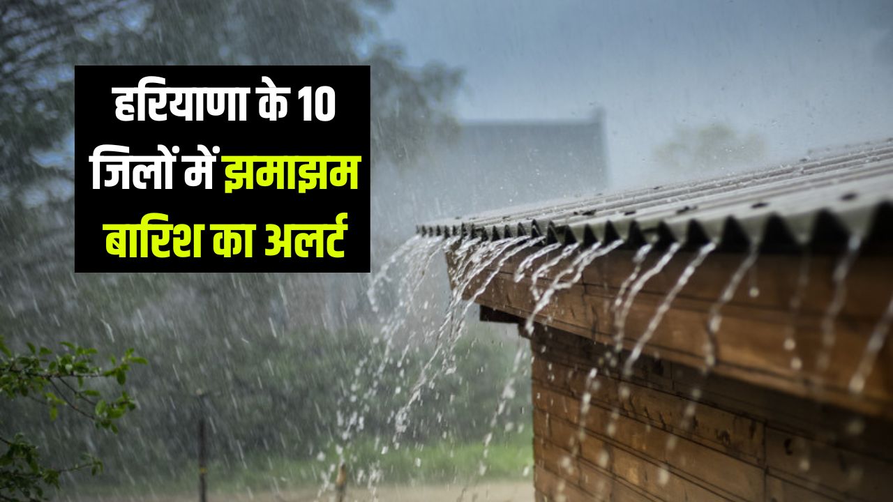 haryana weather alert 7