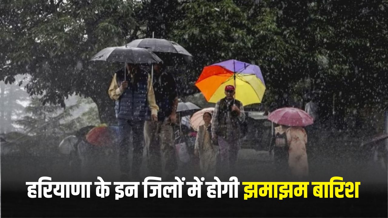 Haryana Weather Alert: हरियाणा के इन जिलों में होगी झमाझम बारिश, मौसम विभाग ने जारी किया अलर्ट 5 Haryana Weather Alert: There will be heavy rain in these districts of Haryana, Meteorological Department has issued an alert