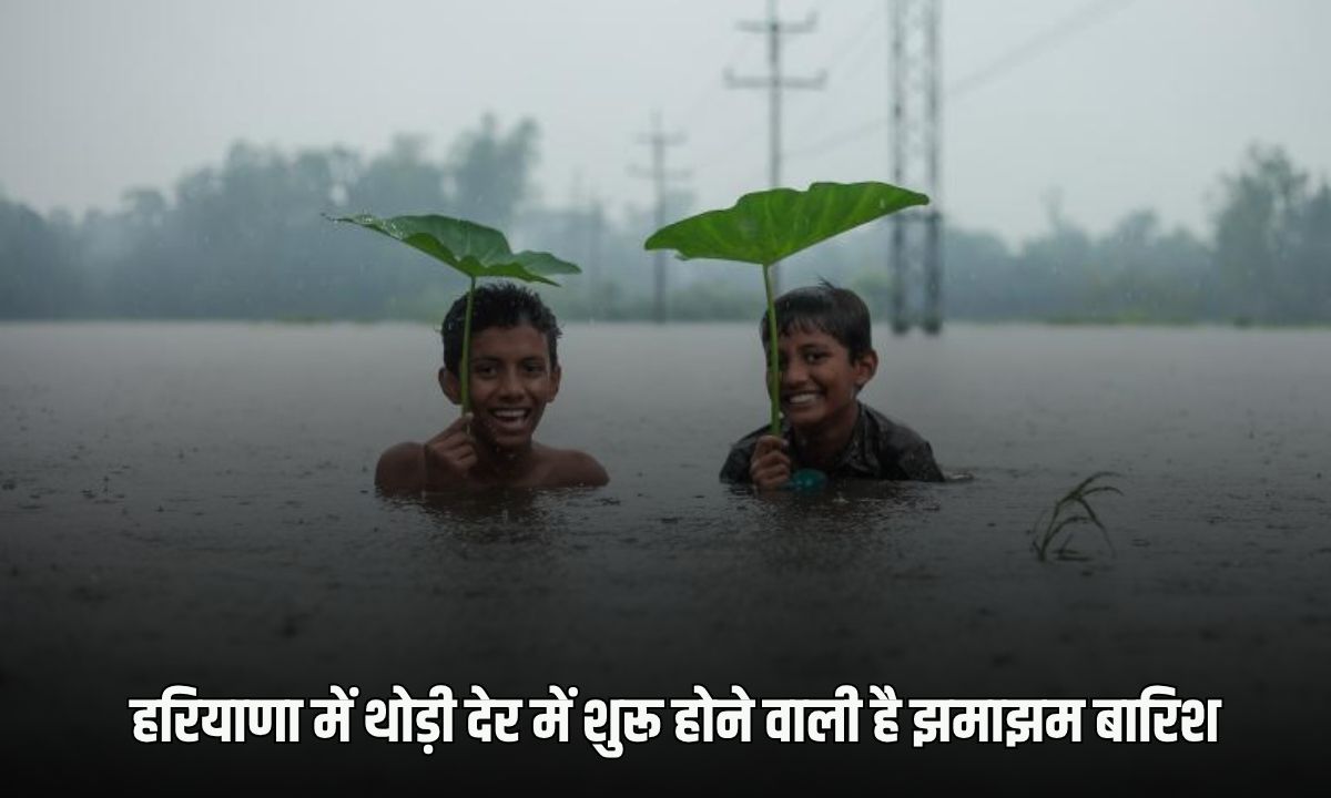 Haryana Rain Alert: हरियाणा में शुरू होने वाली है झमाझम बारिश, इन 12 जिलों के लिए अलर्ट हुआ जारी 5 _Heavy rain is about to start in Haryana, alert has been issued for these 12 districts