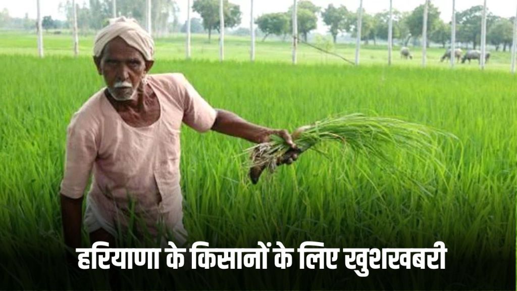 Haryana News: Good news for the farmers of Haryana, the government has made a big announcement
