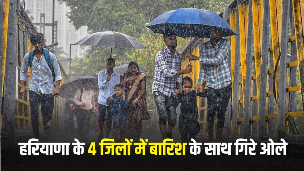 Haryana Weather Update: Hailstorm along with rain in 4 districts of Haryana, storm alert issued at 5 places