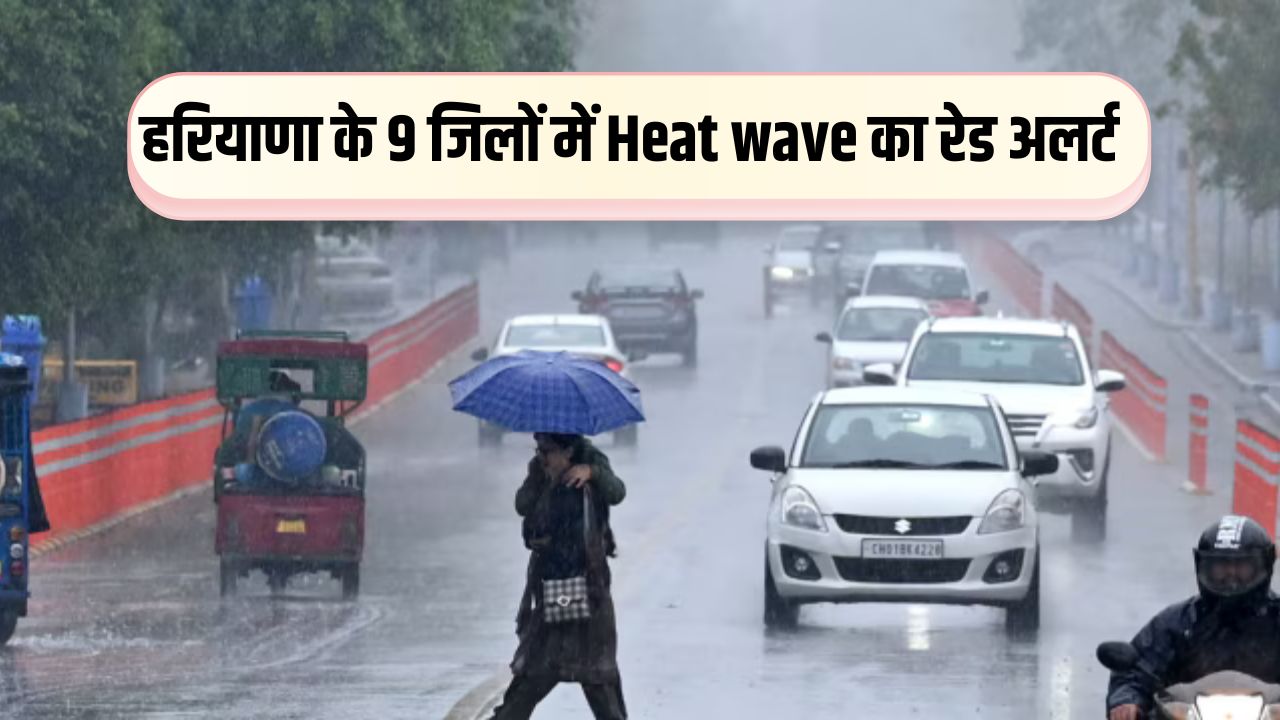 Haryana Weather Update: हरियाणा के 9 जिलों में Heat wave का रेड अलर्ट ...