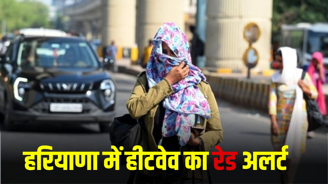 Heatwave Red Alert: हरियाणा में हीटवेव का रेड अलर्ट, 5 घंटे घर से बाहर न निकलने की एडवाइजरी 6 Heatwave Red Alert: Heatwave red alert in Haryana, advisory issued to not step out of the house for 5 hours