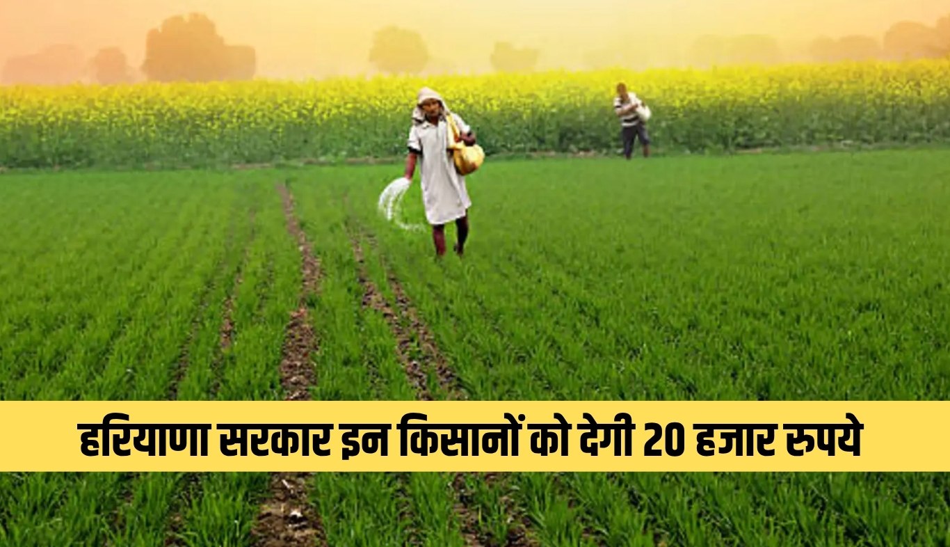 Good news for these farmers in Haryana