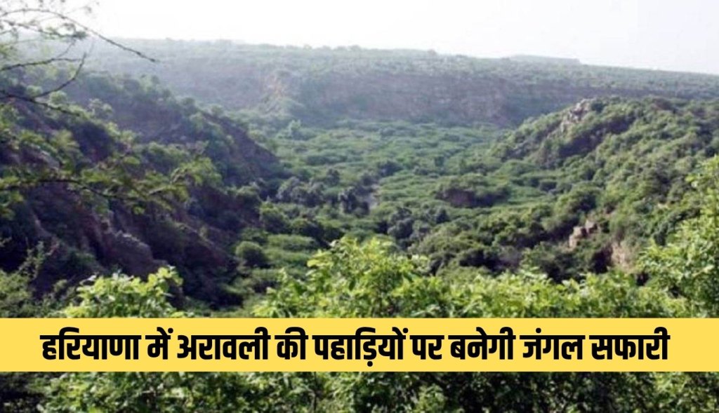 Jungle Safari will be built on Aravalli Hills in Haryana