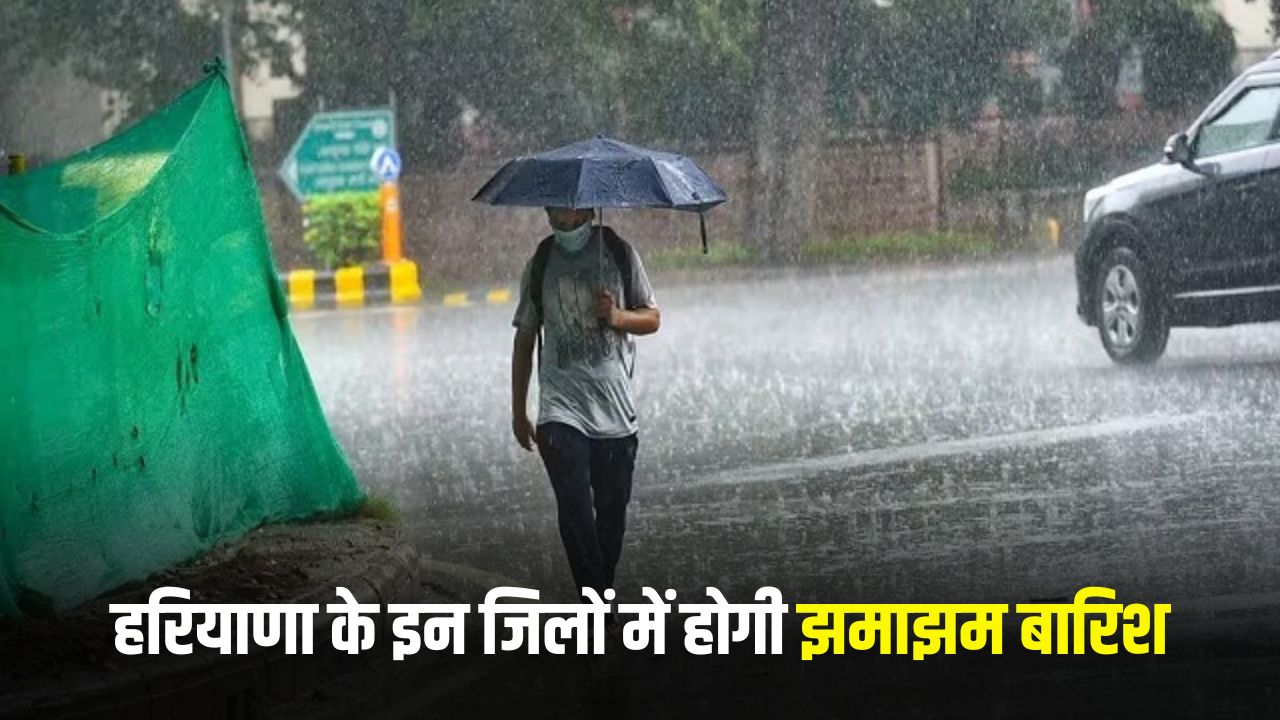 Haryana Weather Update: हरियाणा के इन जिलों में होगी झमाझम बारिश, अलर्ट जारी 5 weather update 3